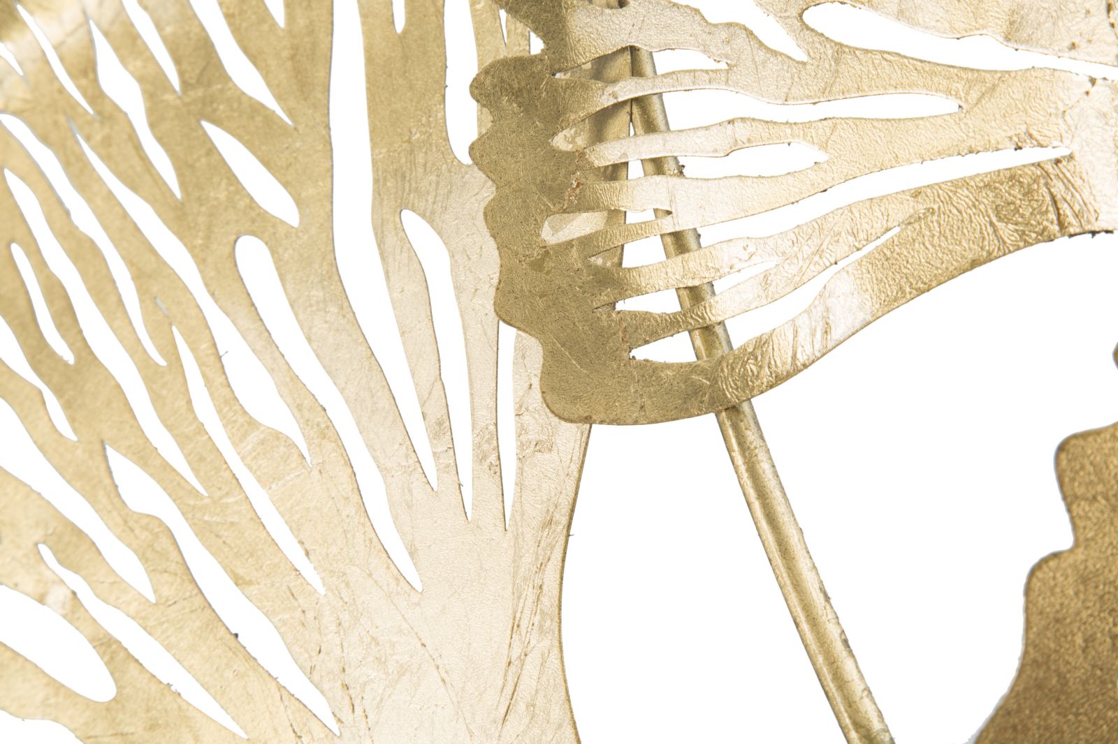 Product Image-5