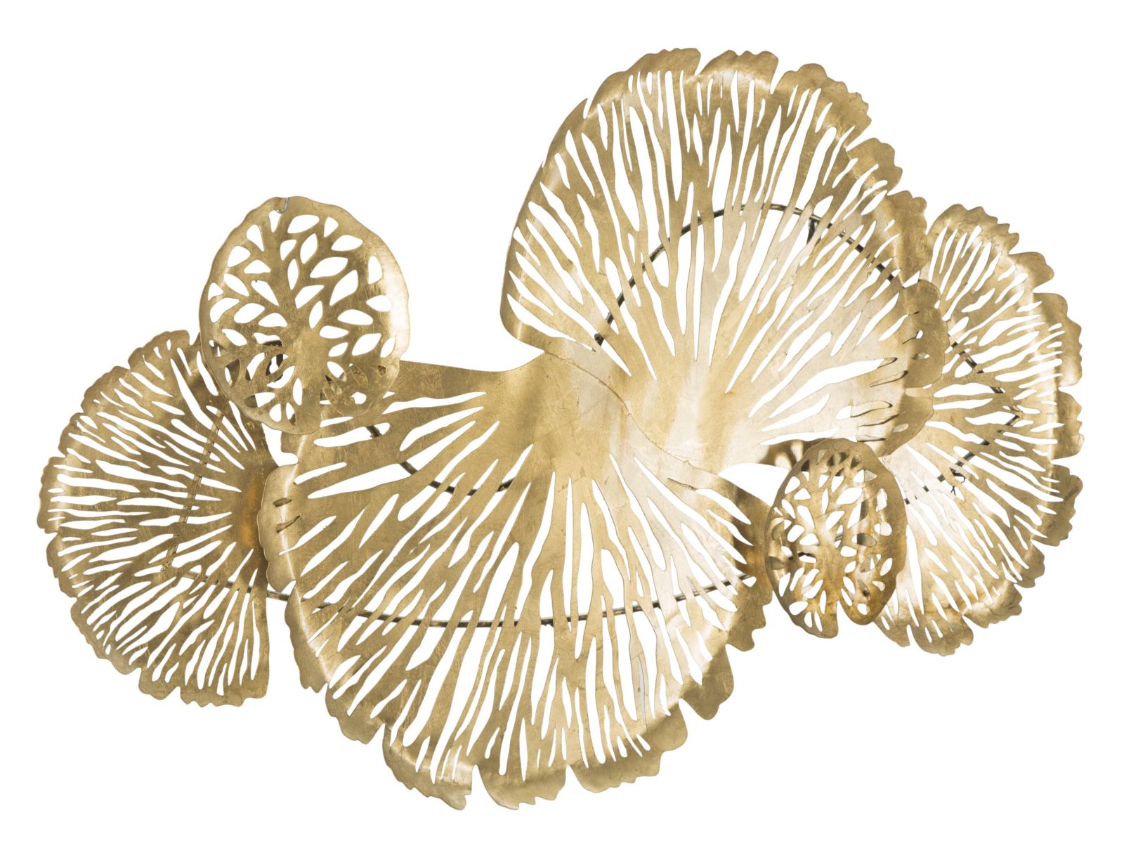 Product Image-1