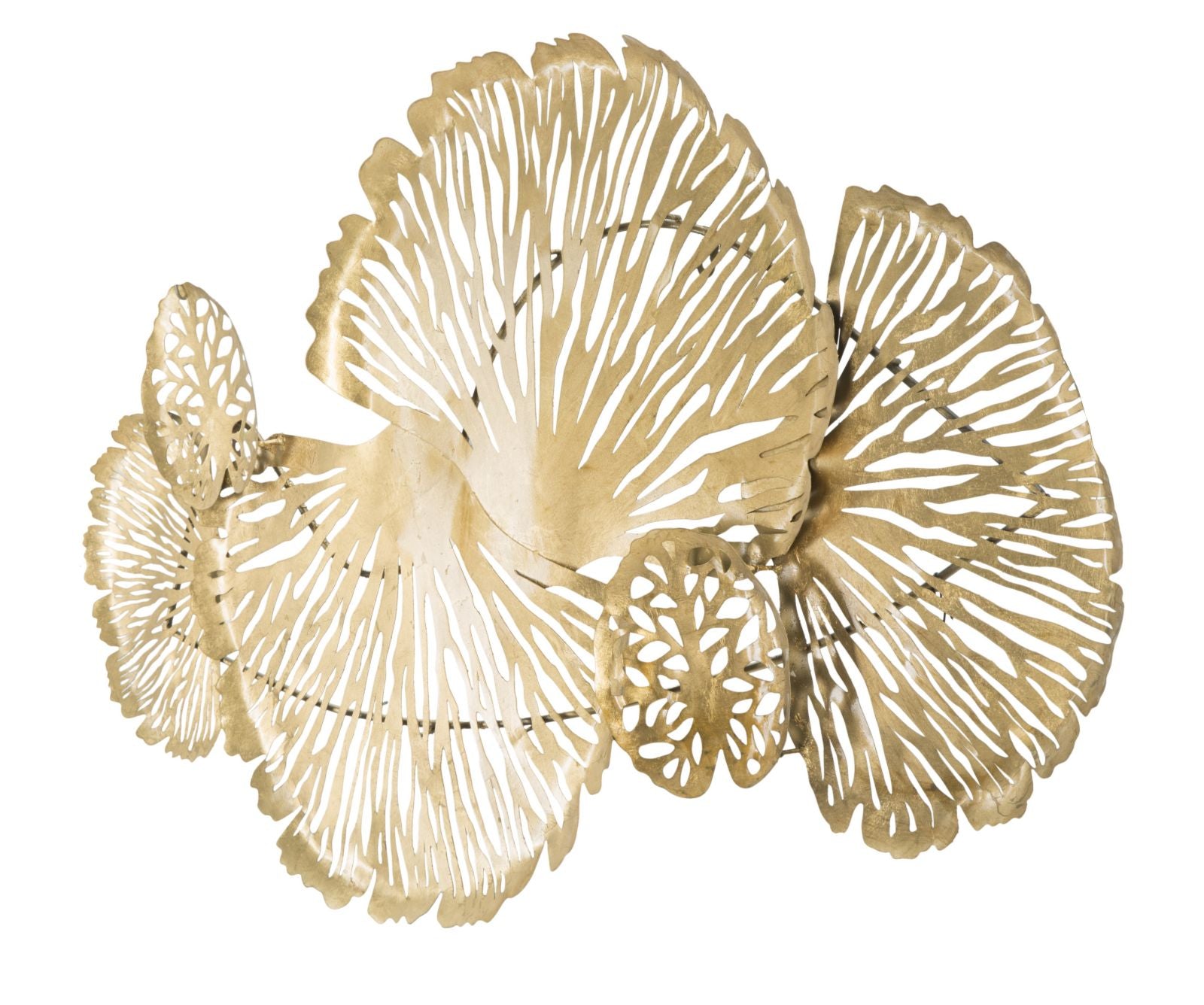 Product Image-2