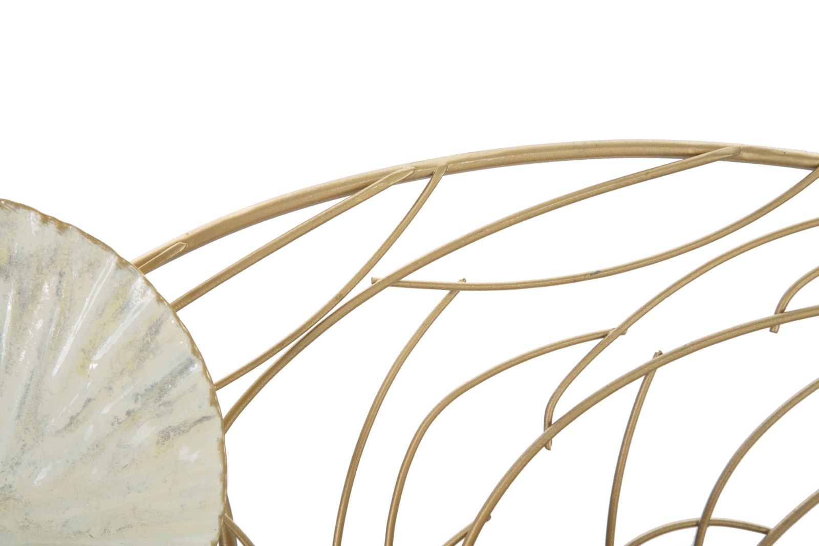 Product Image-6