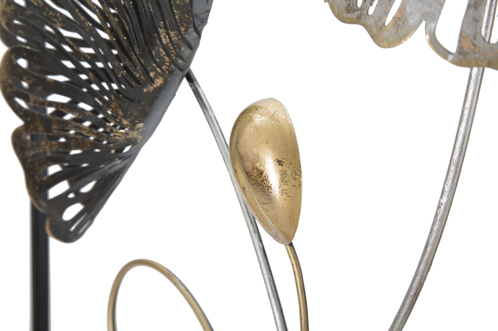 Product Image-5