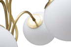 Product Image-5
