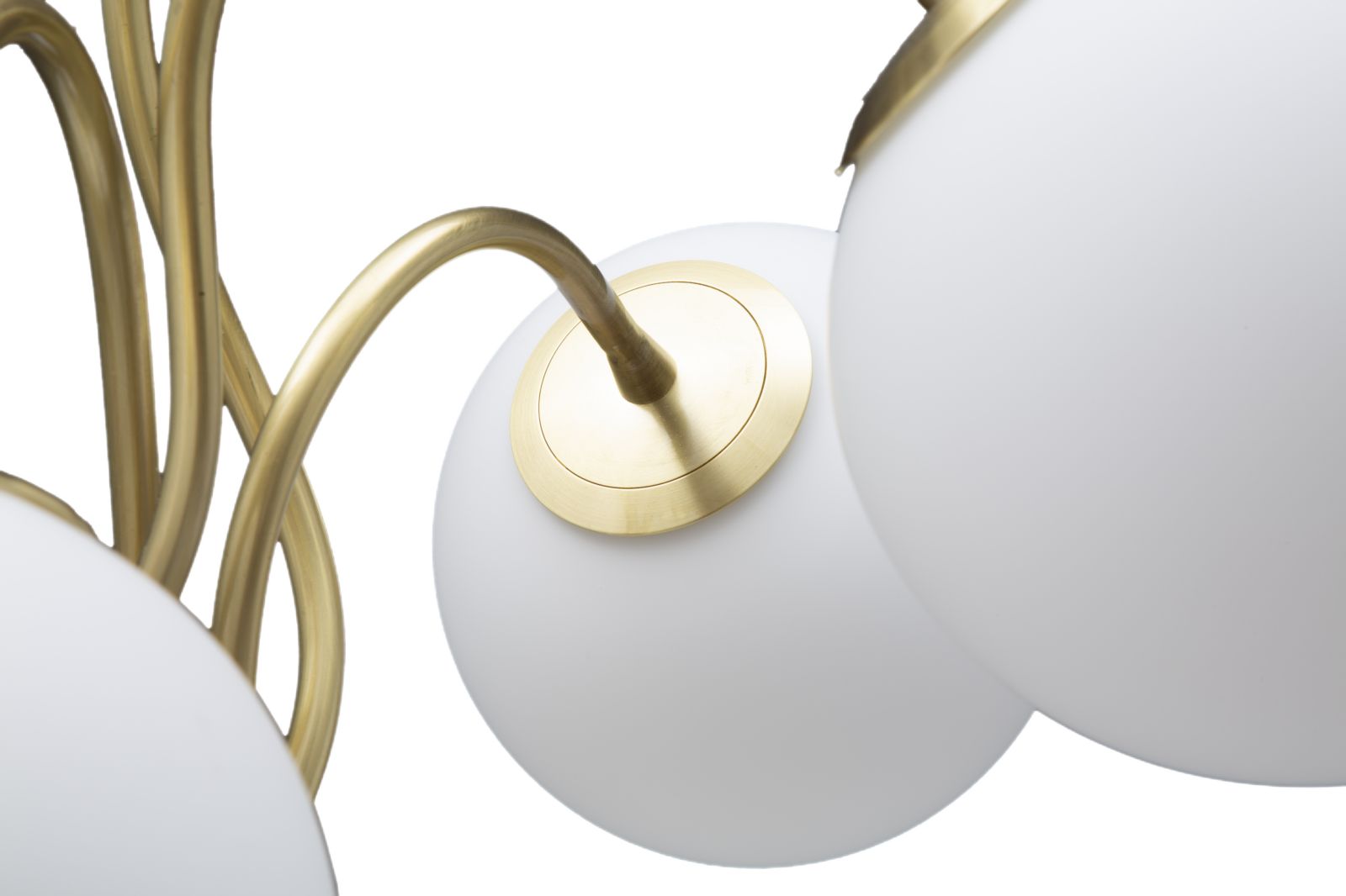 Product Image-5