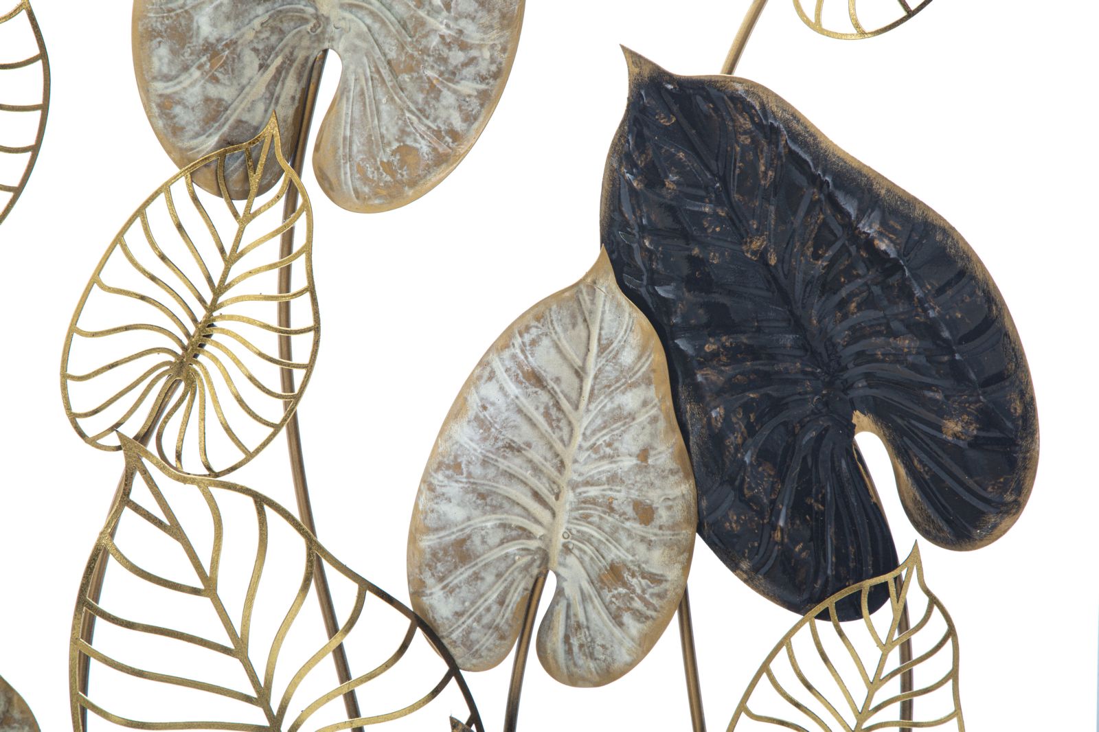 Product Image-3