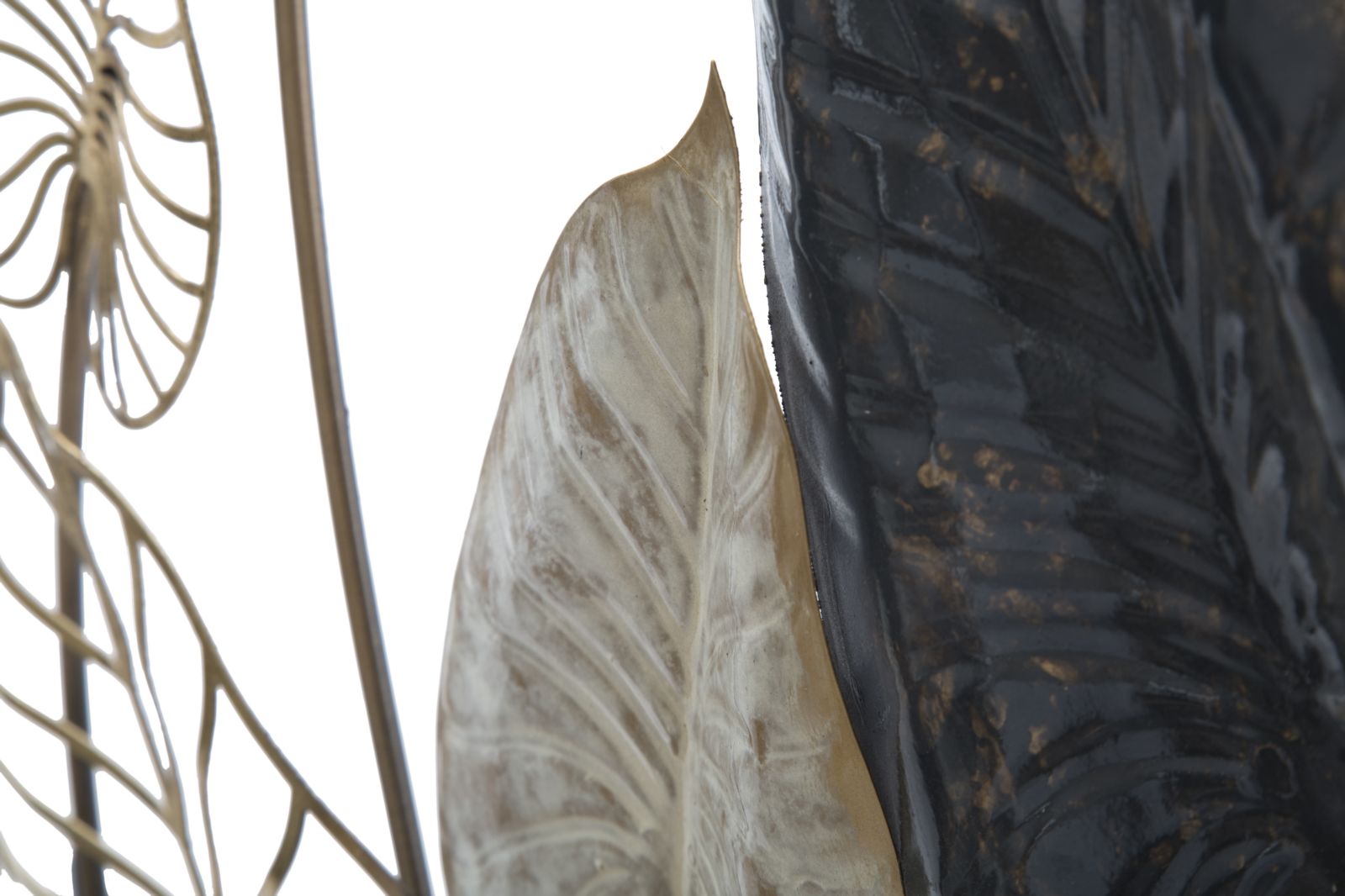 Product Image-2