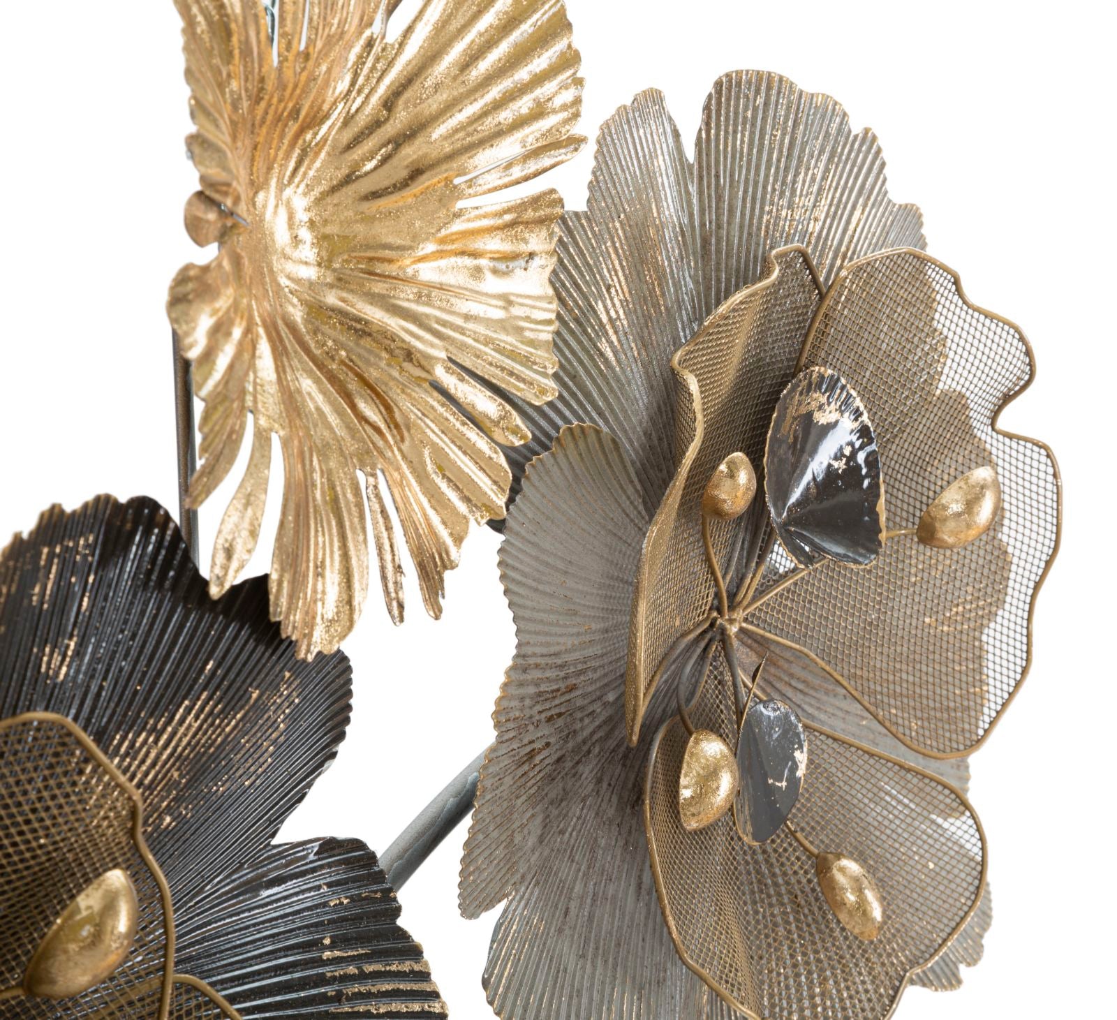 Product Image-2