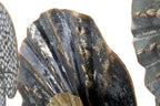 Product Image-5