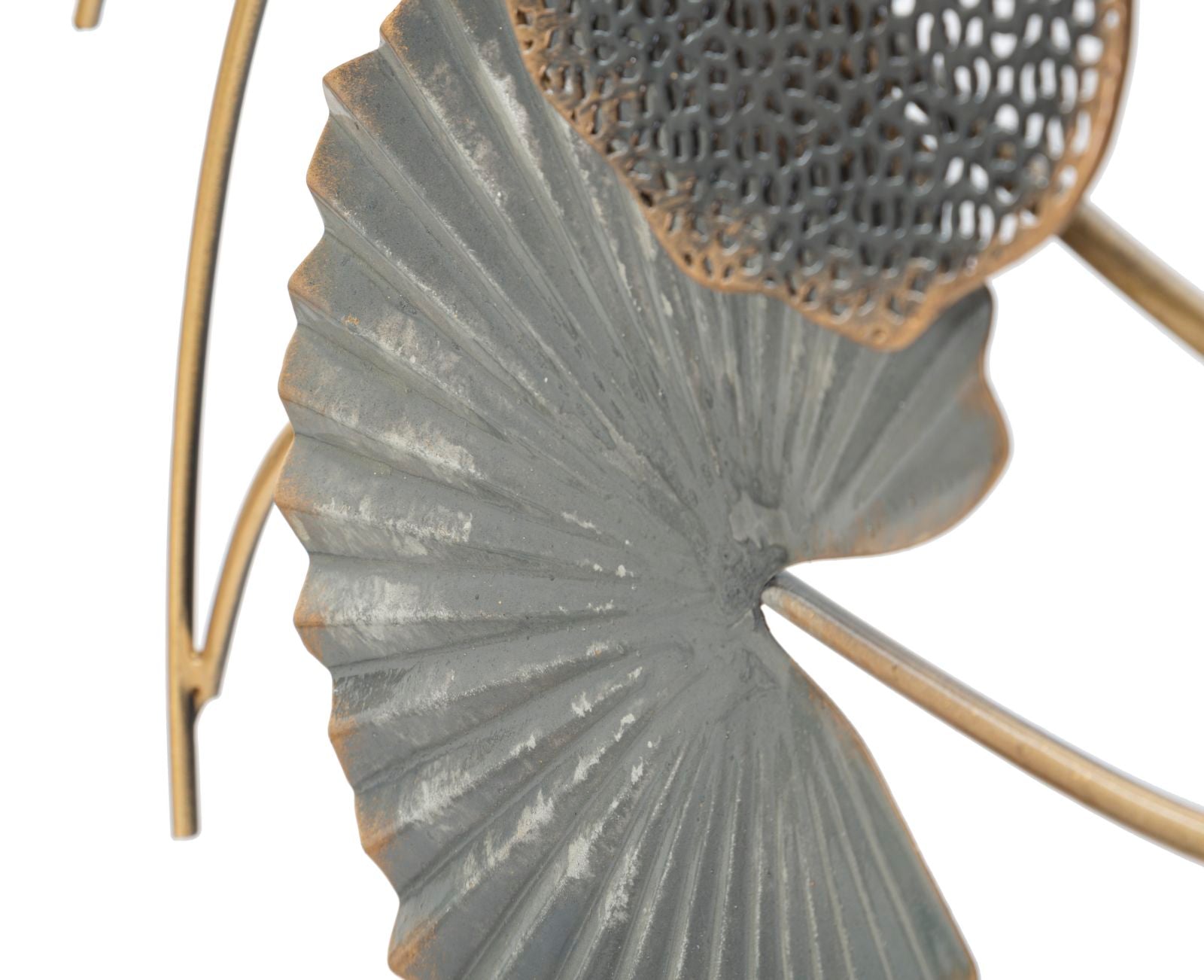 Product Image-2