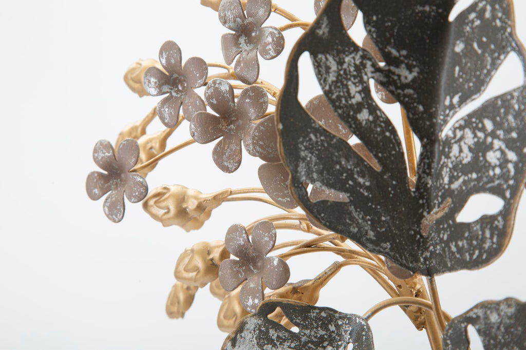 Product Image-2