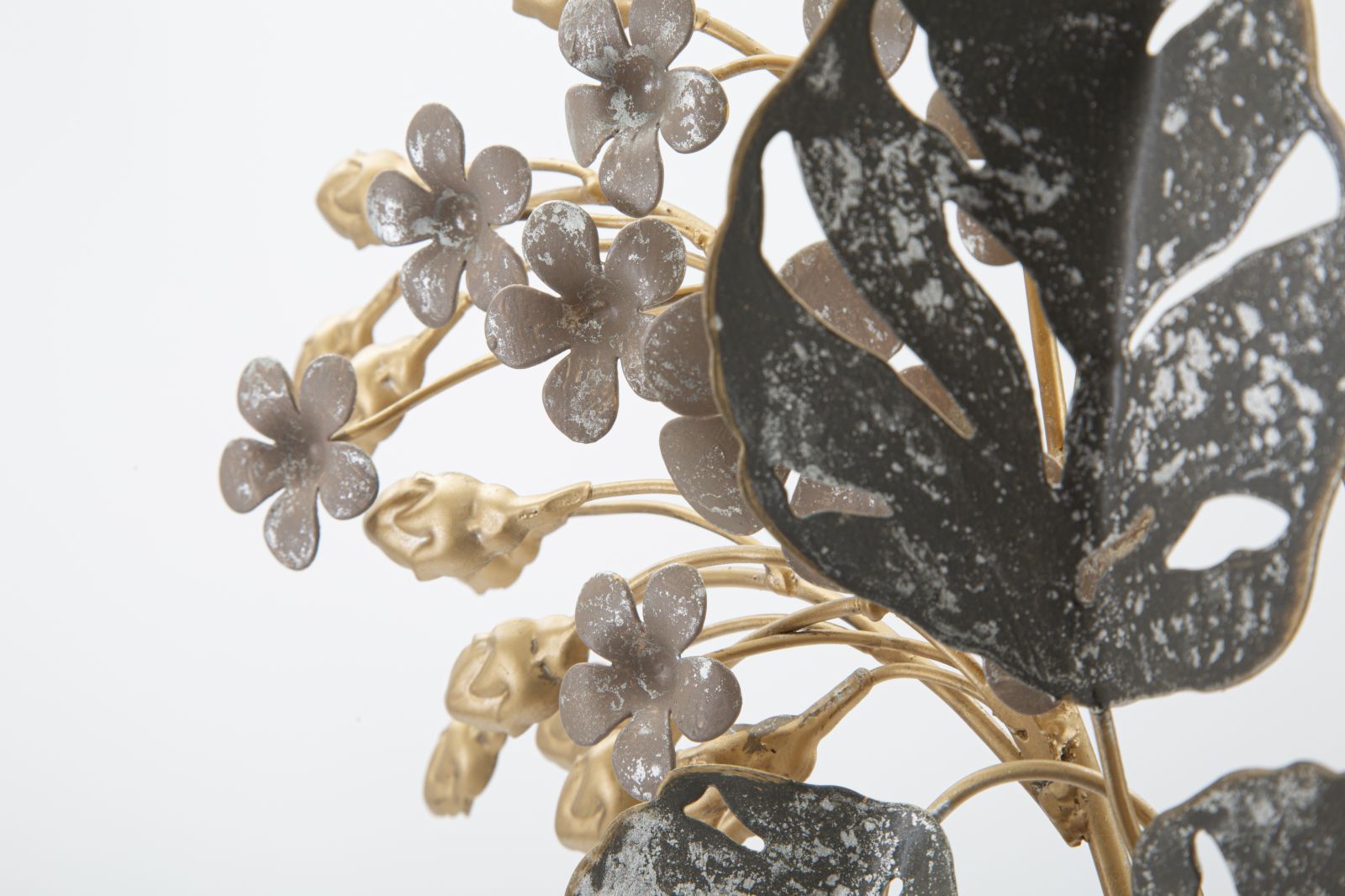 Product Image-2