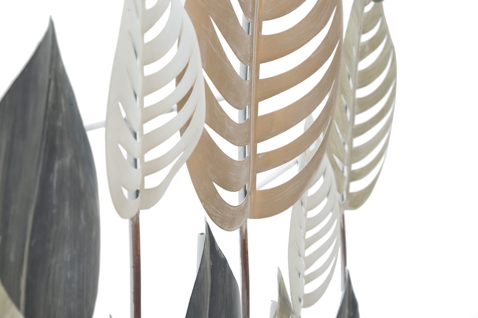 Product Image-2
