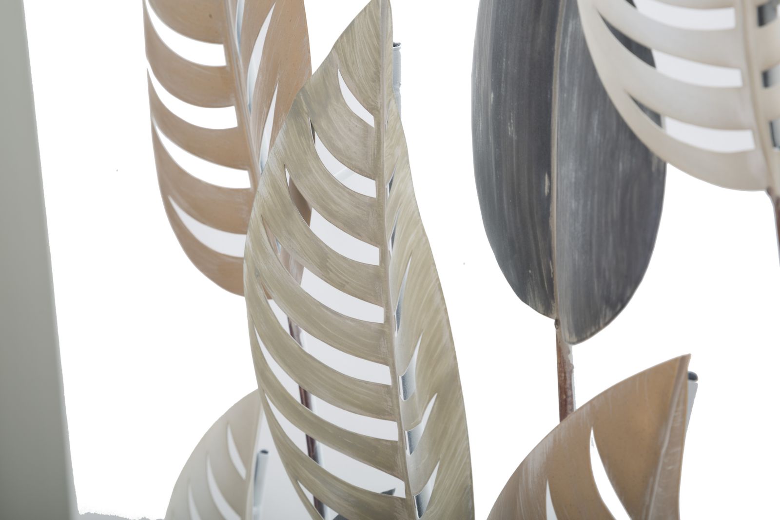 Product Image-4