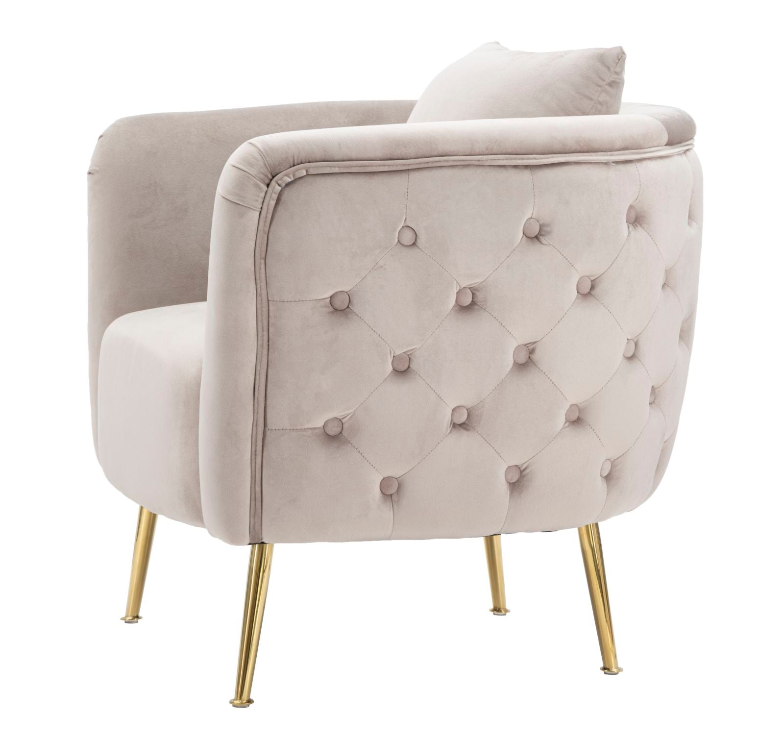 Product Image-2