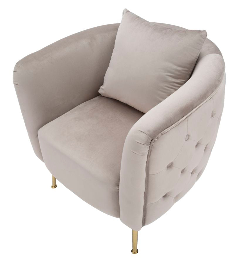 Product Image-4