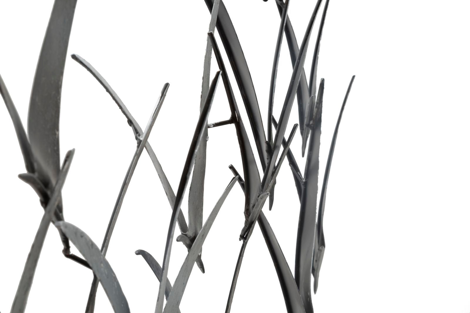 Product Image-2