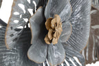 Product Image-2