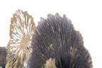 Product Image-5