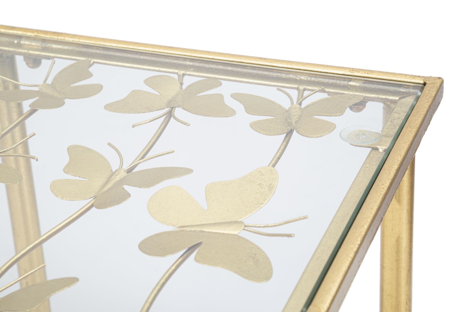 Product Image-3