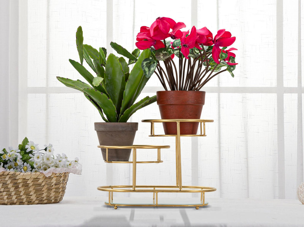 Product Image-4