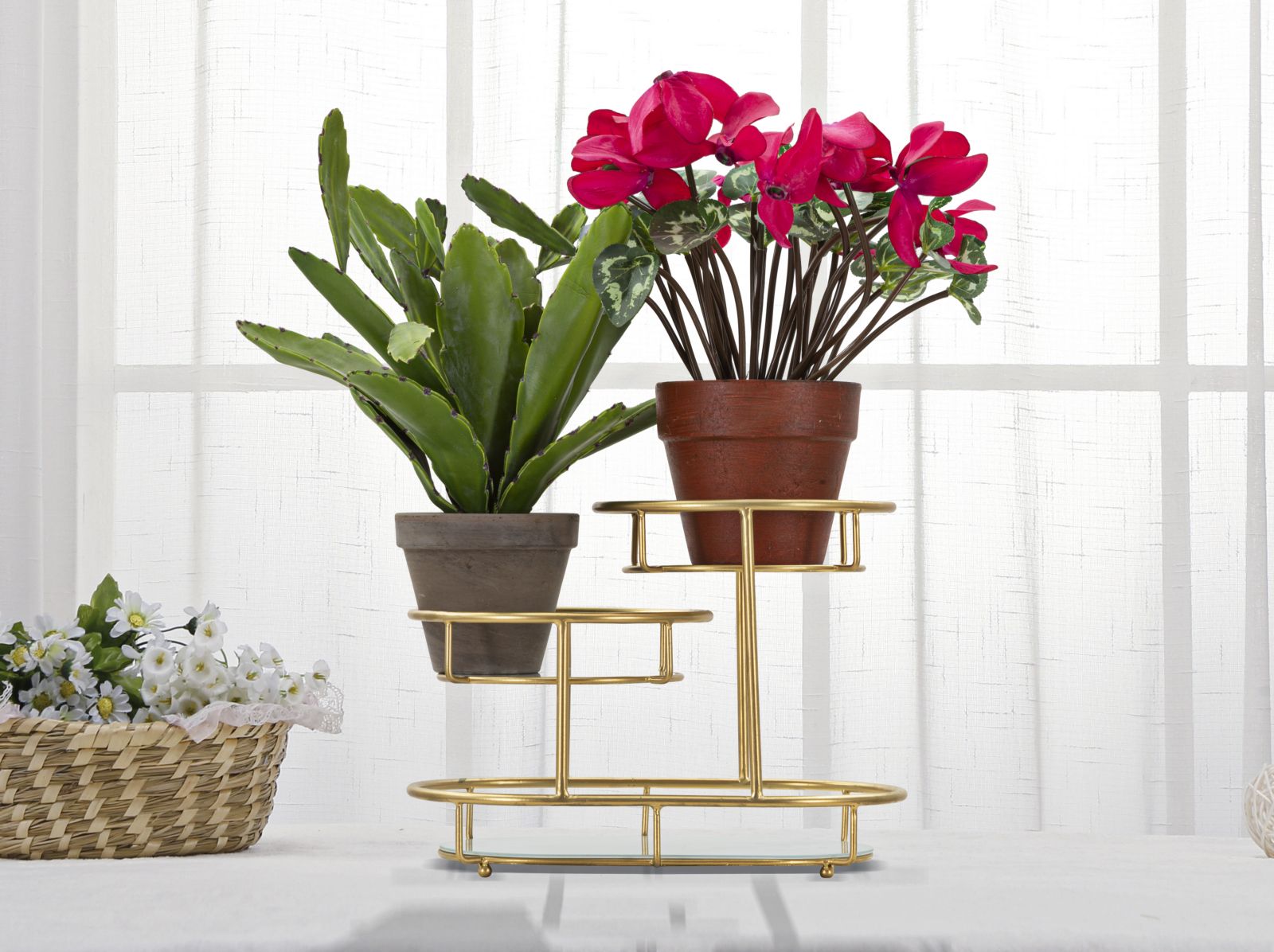 Product Image-4