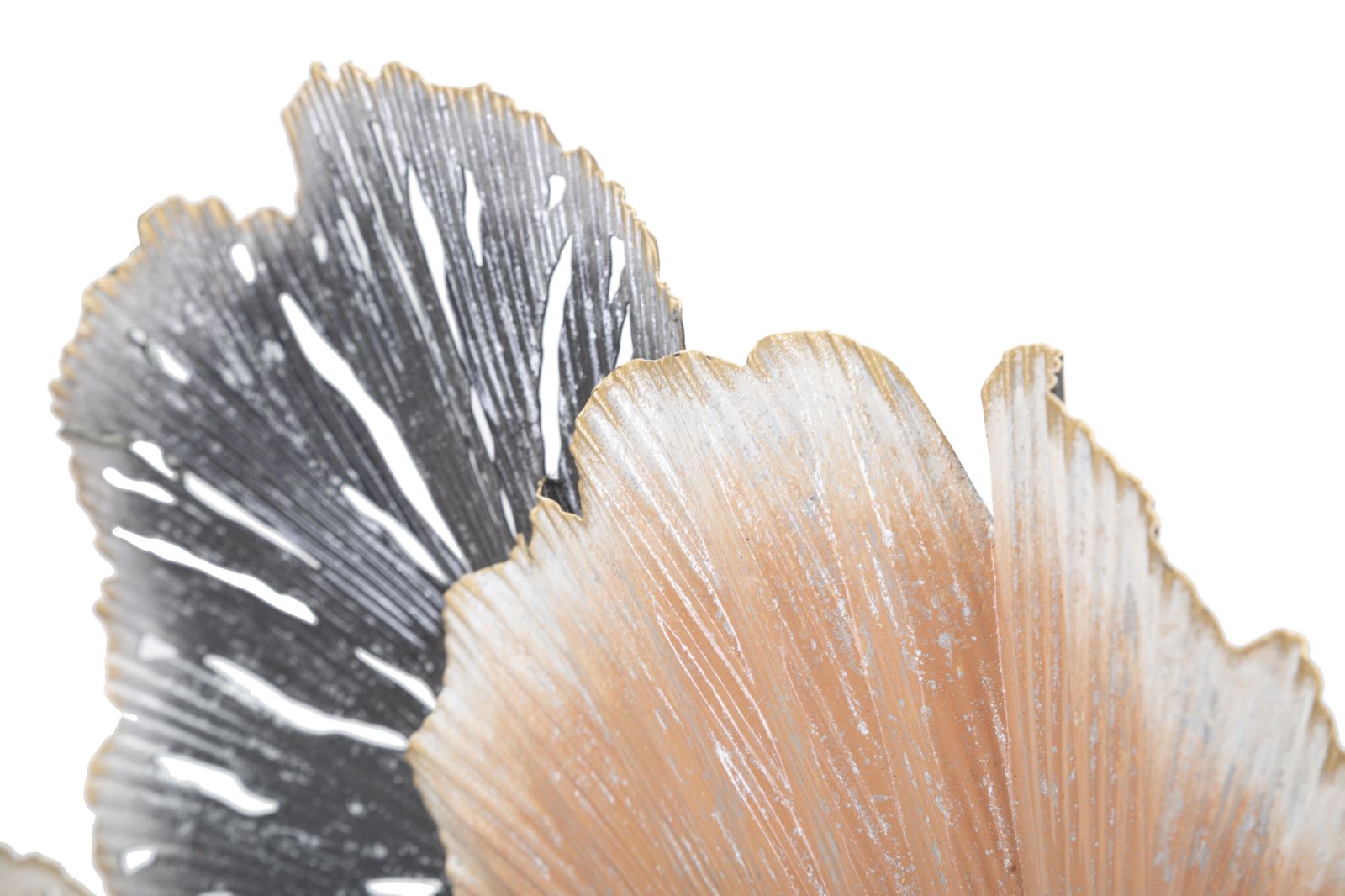 Product Image-2
