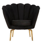 Product Image-2