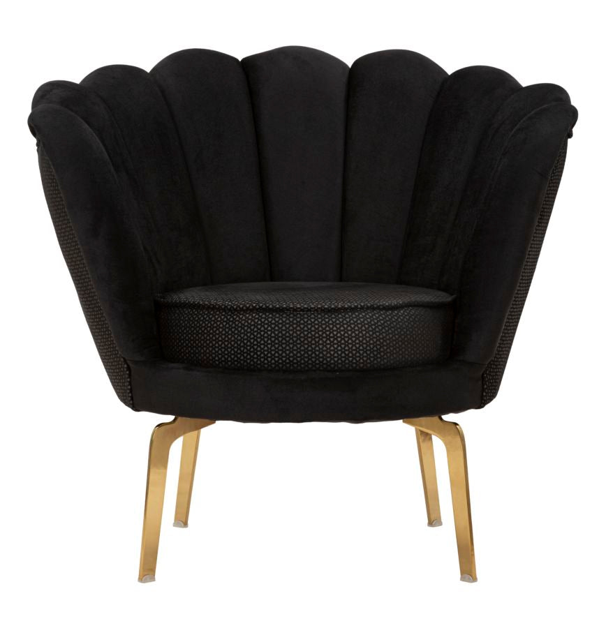 Product Image-2