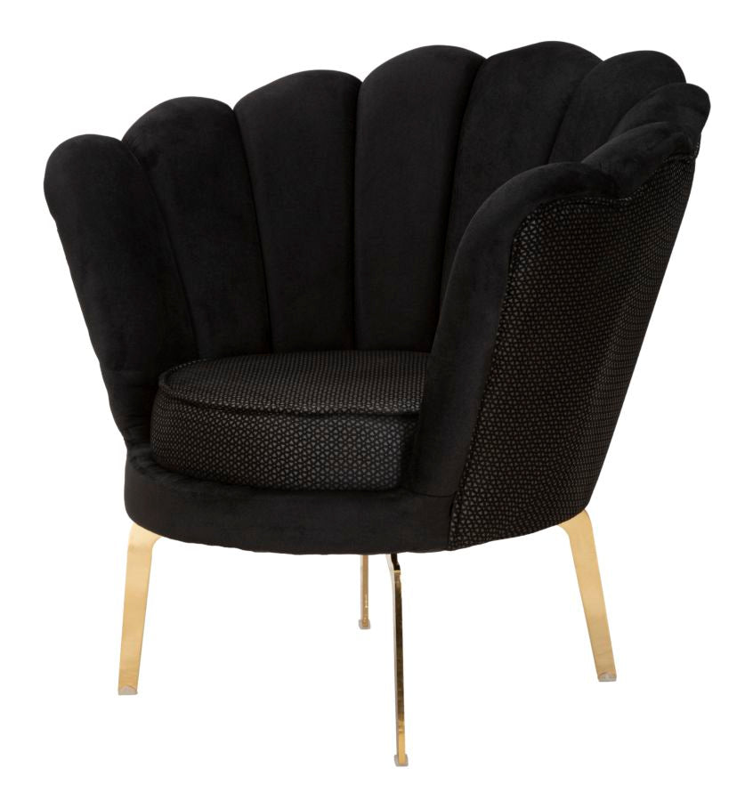 Product Image-1