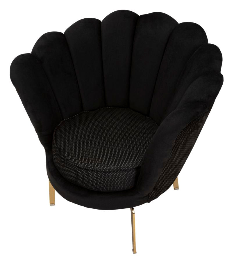 Product Image-3