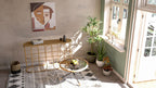 Product Image-8
