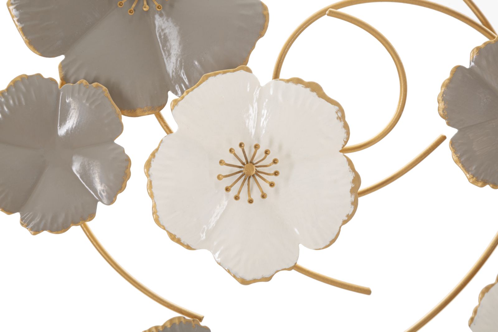 Product Image-2