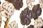 Product Image-2