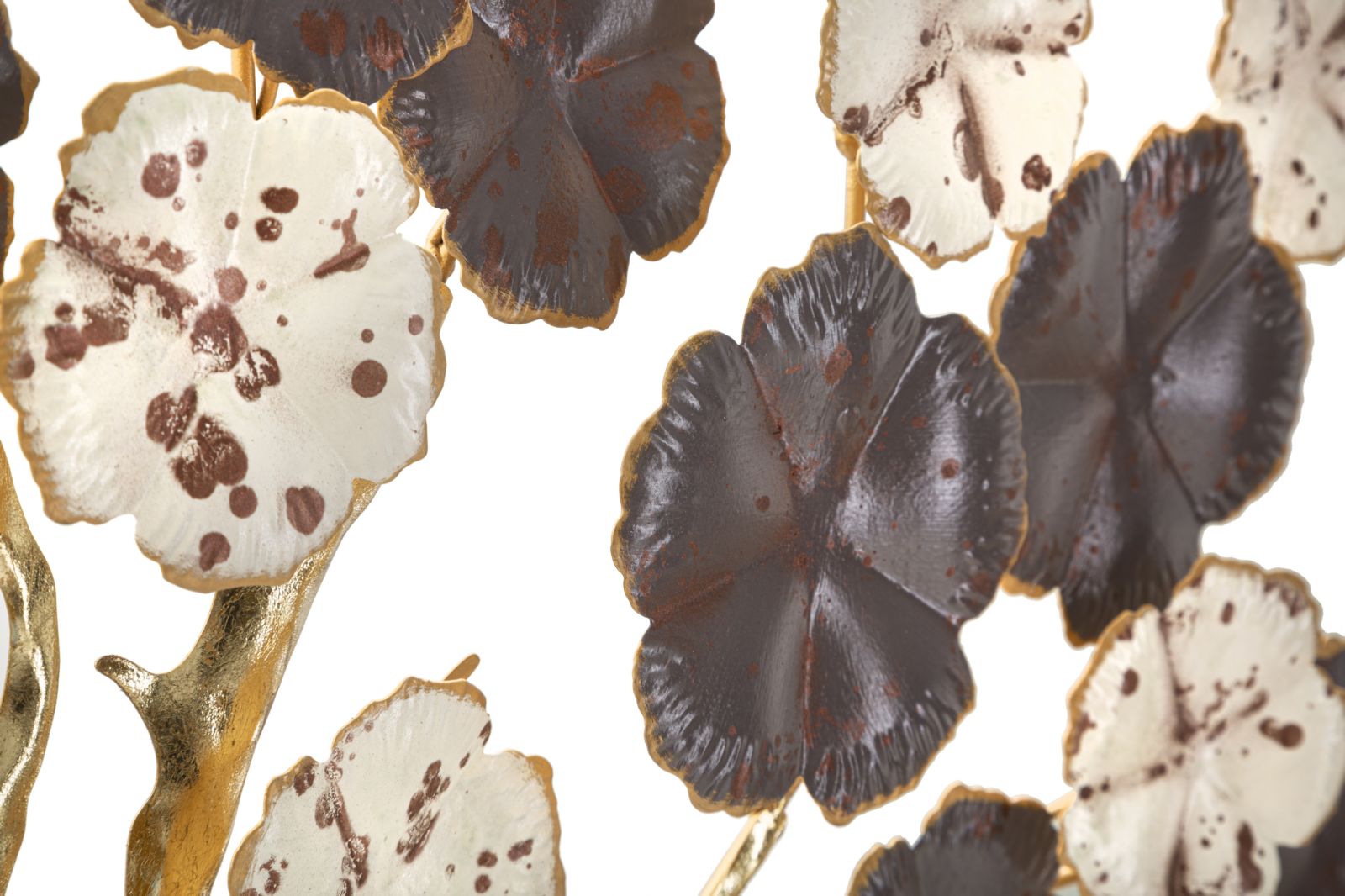 Product Image-2