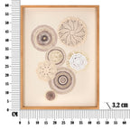 Product Image-6
