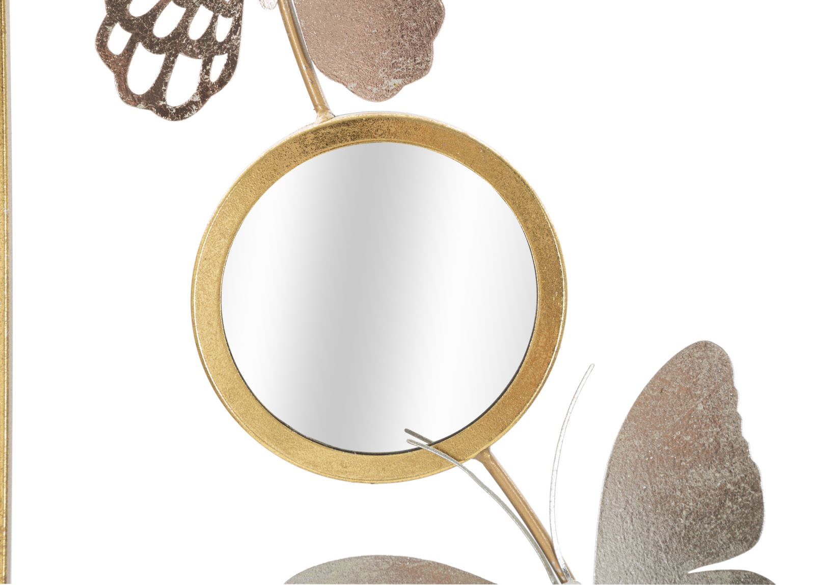 Product Image-4