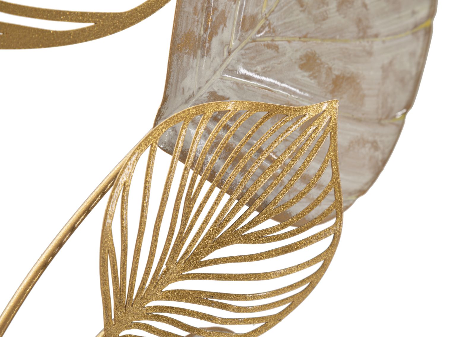 Product Image-2