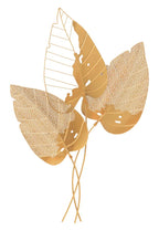 Product Image-2