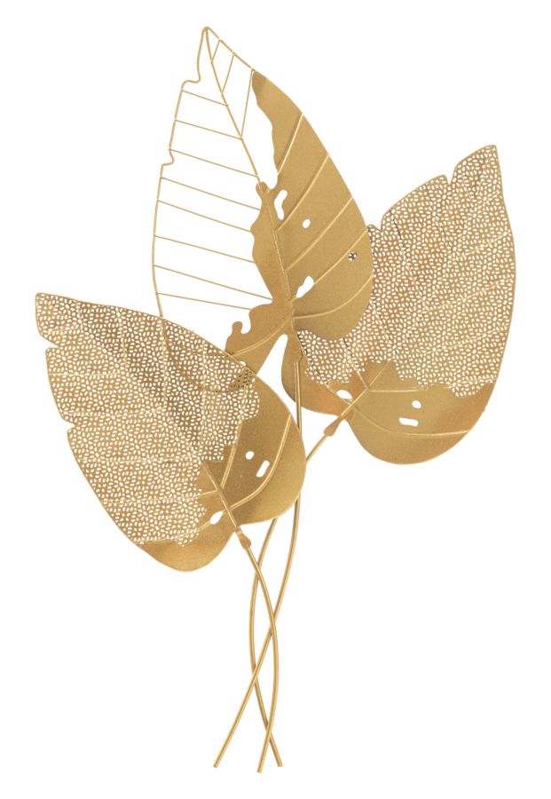 Product Image-2