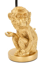 Product Image-0