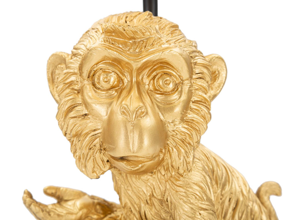 Product Image-2