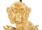 Product Image-2