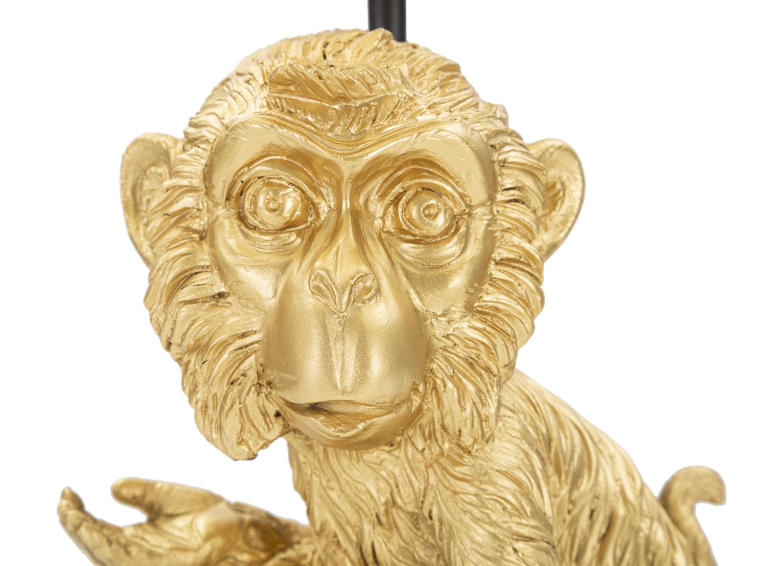 Product Image-2