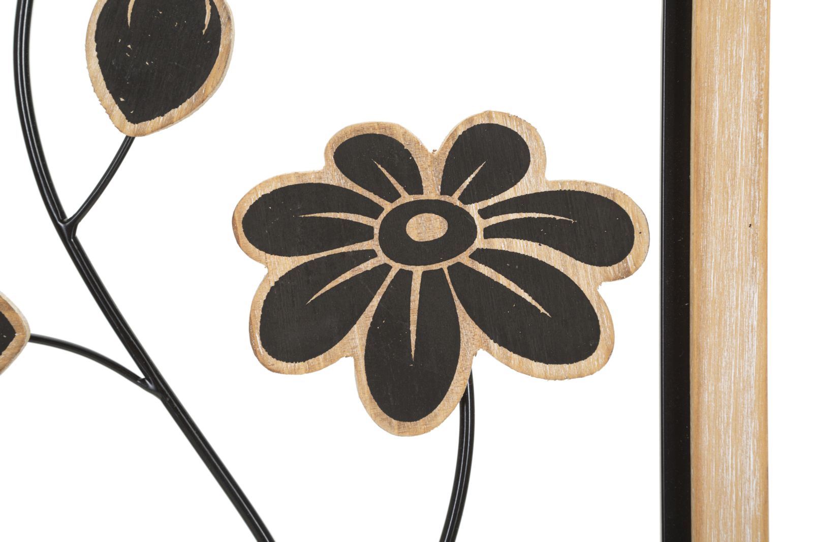 Product Image-3