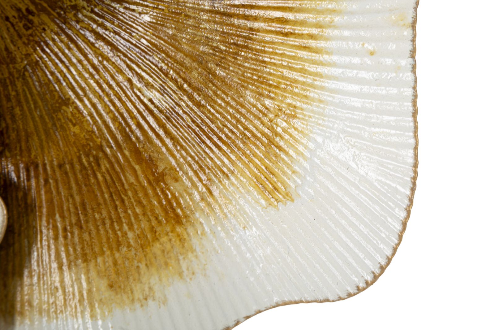 Product Image-2