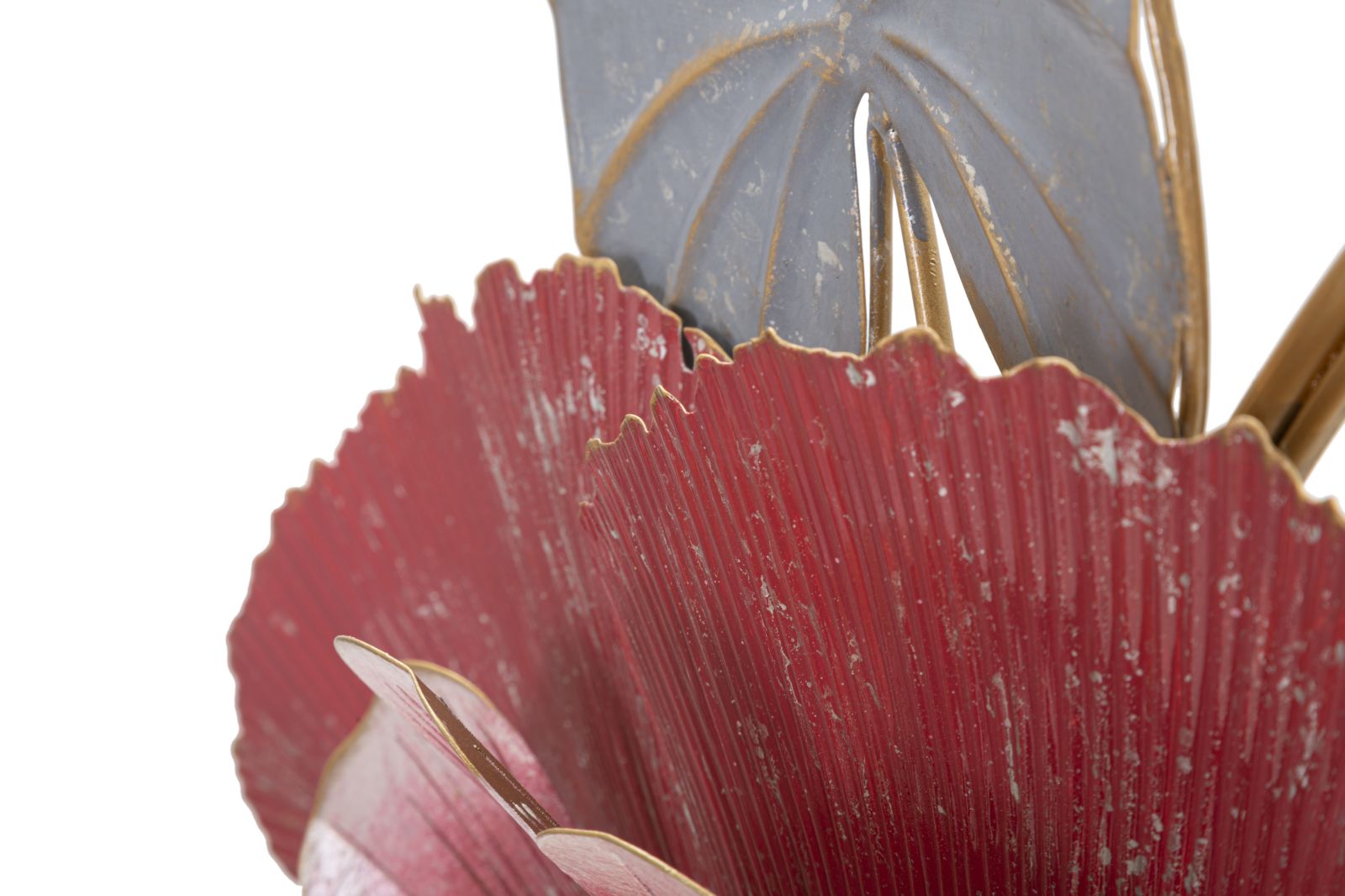 Product Image-4