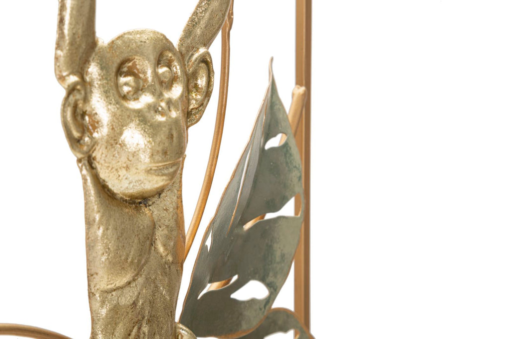 Product Image-2