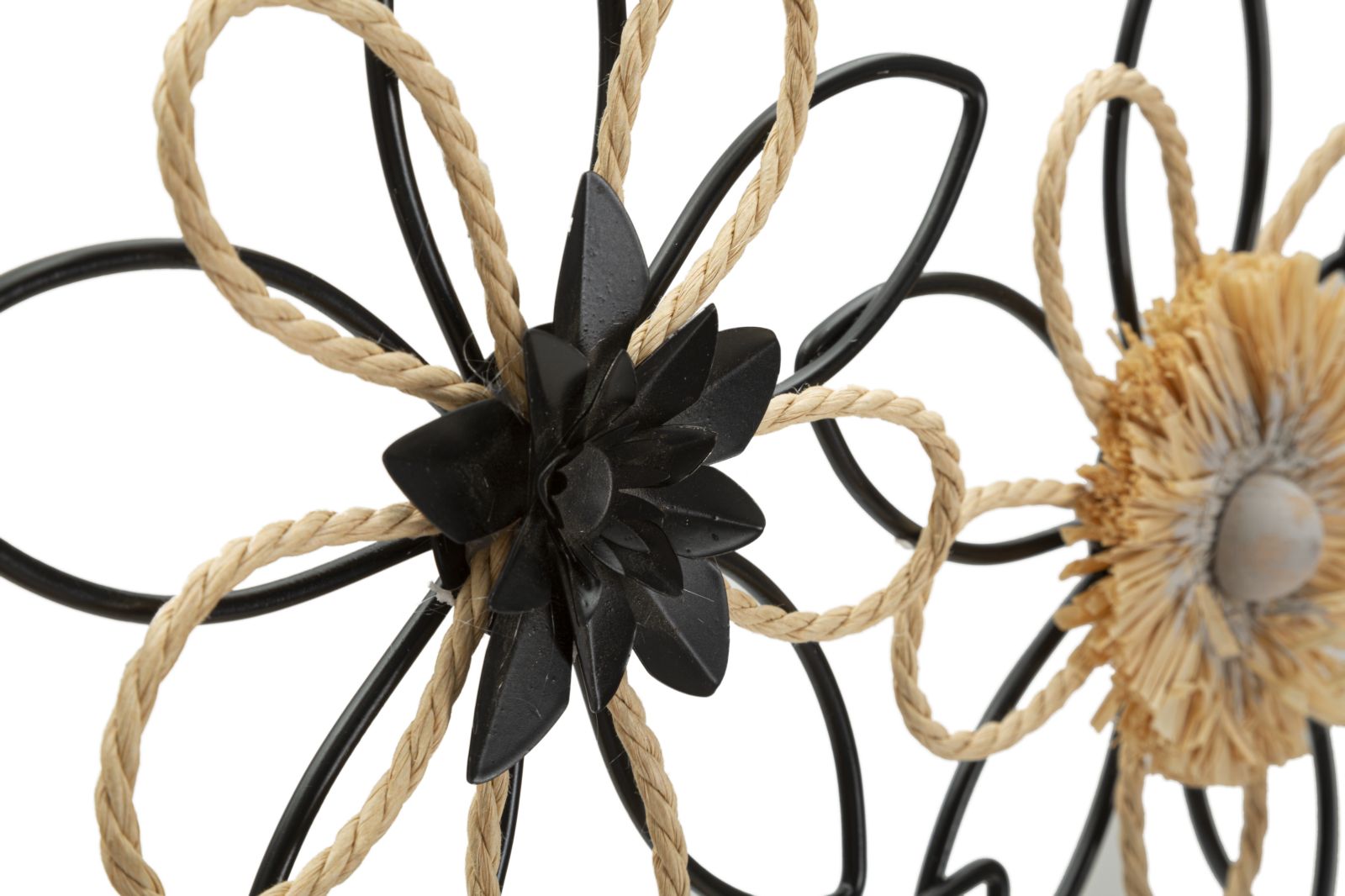 Product Image-3