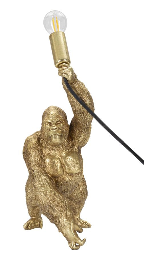 Product Image-0