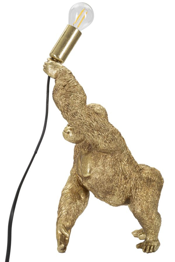 Product Image-1