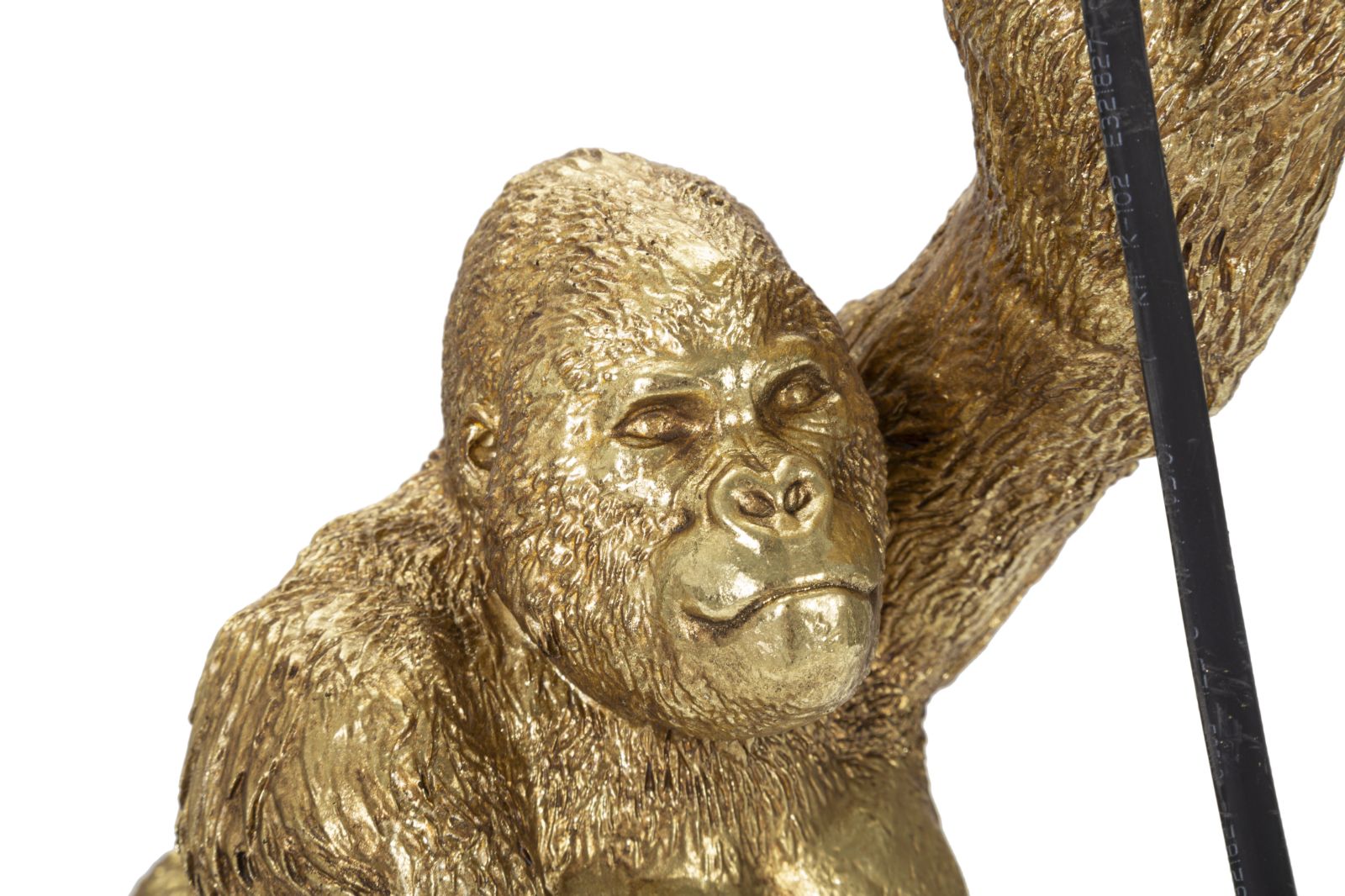 Product Image-4